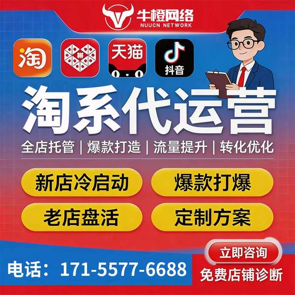 文山电商代运营