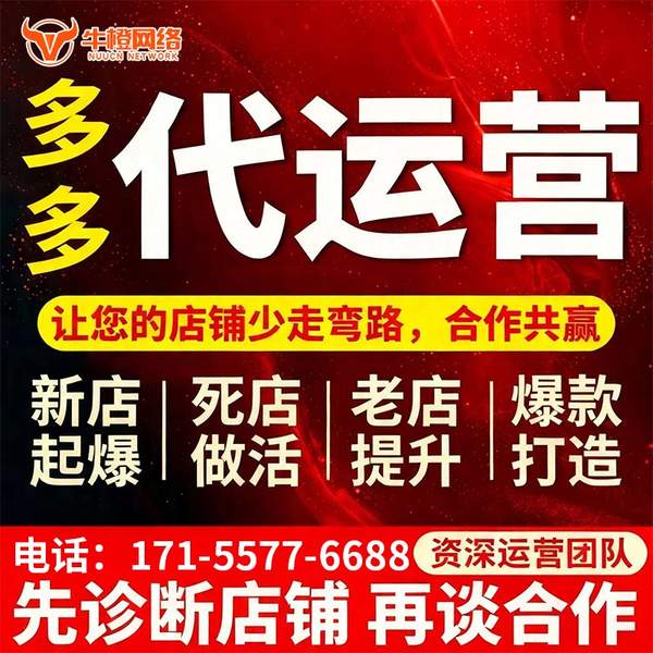 文山电商代运营