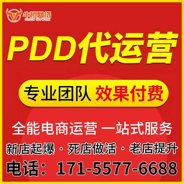文山电商代运营