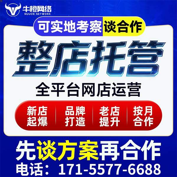 文山电商代运营