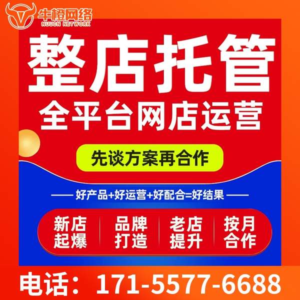文山电商代运营