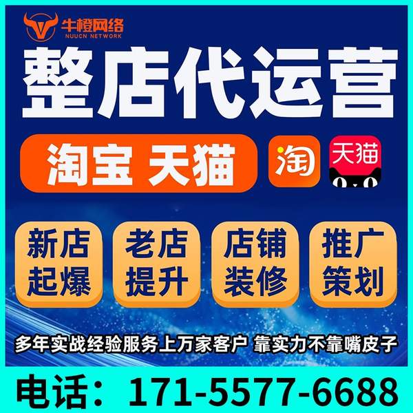 文山电商代运营