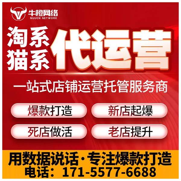 文山电商代运营